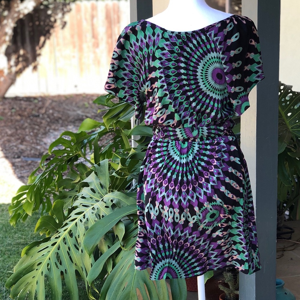 Bellatrix Multi Color Silk Dress - Picture 8 of 10